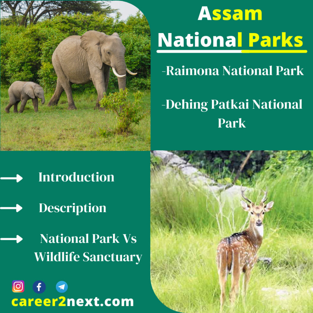 Assam National Parks