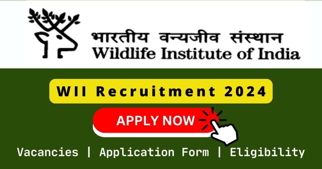 WII Recruitment 2024