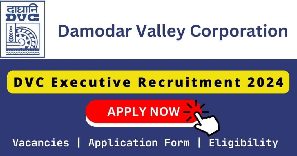 DVC Executive Recruitment 2024